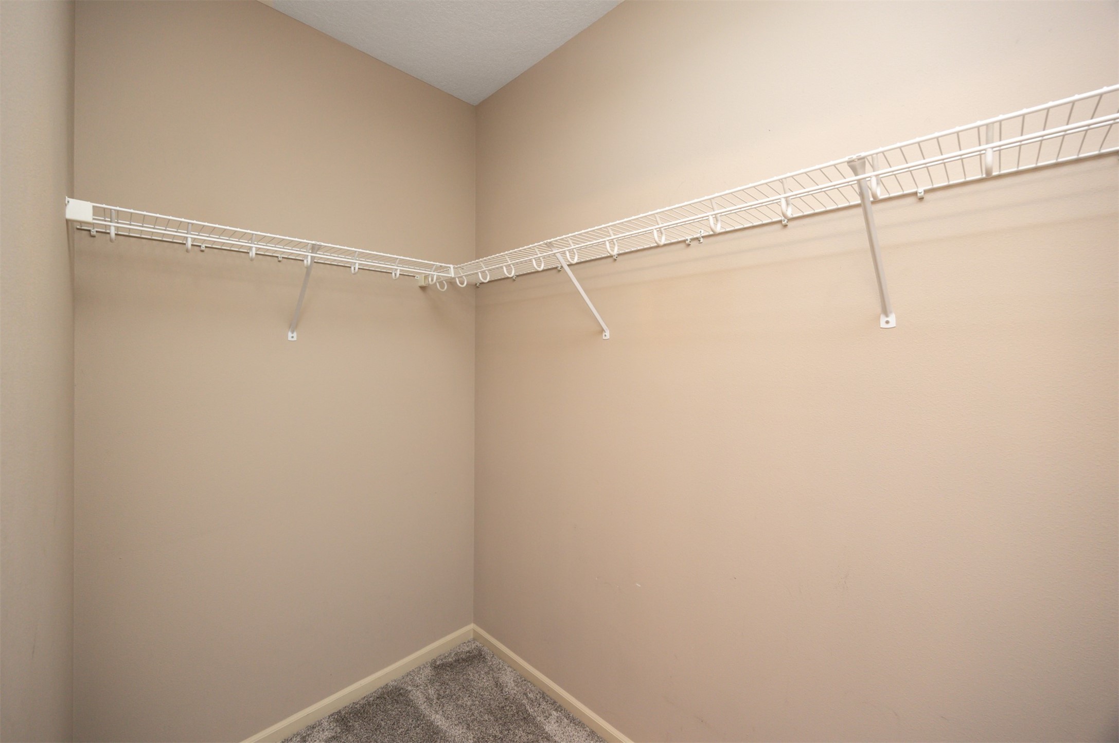 5950 S Winwood Drive, Johnston, Iowa image 27
