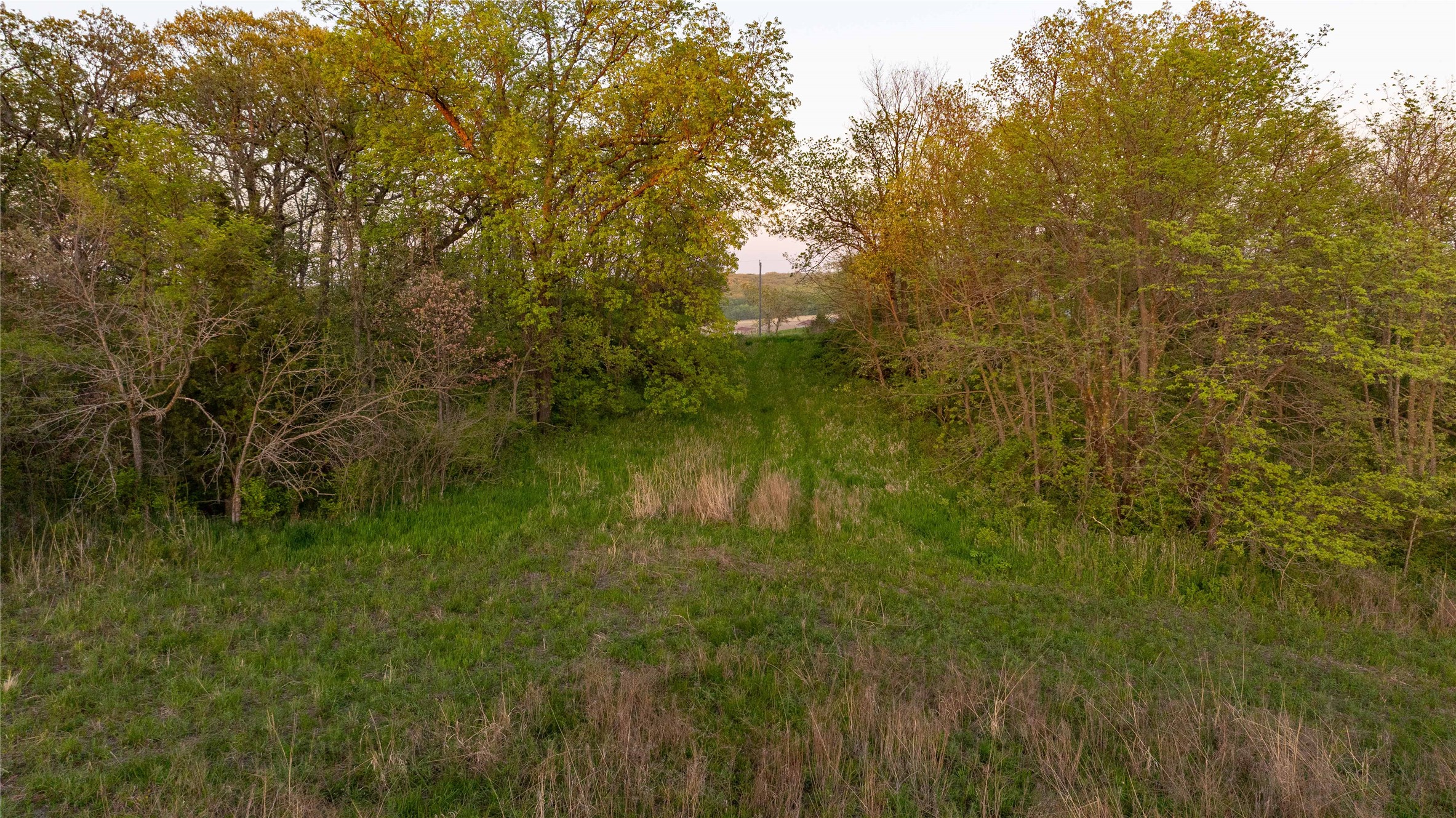 000 20th Road, Lacona, Iowa image 25