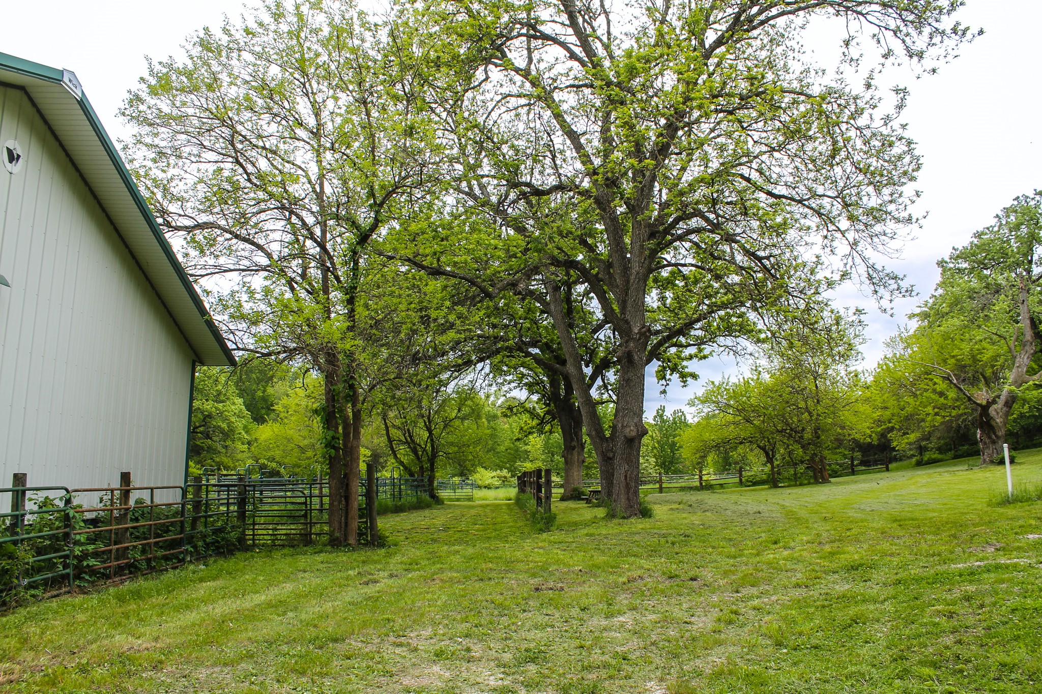 001 365th Street, Earlham, Iowa image 21