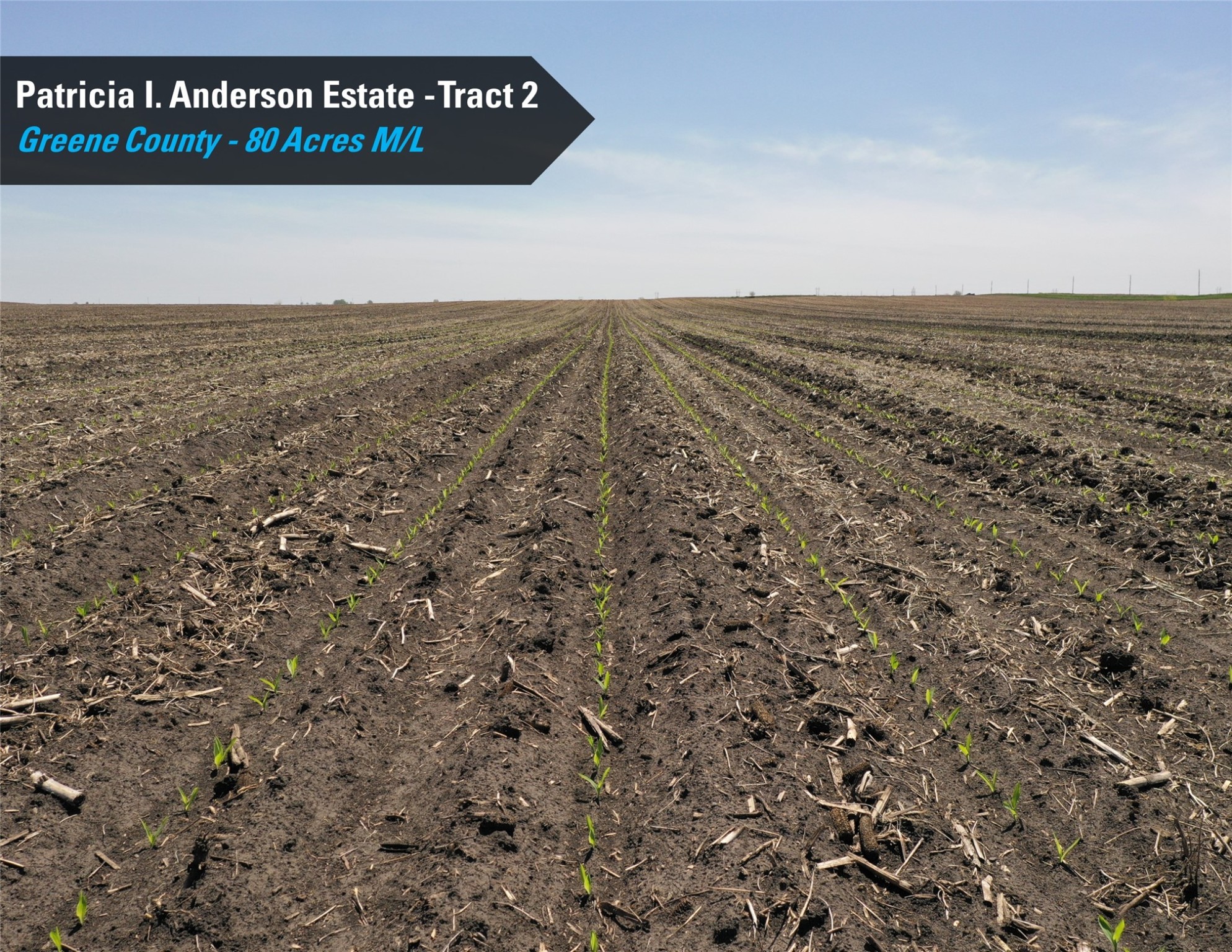 02 County Highway E57 & X Avenue, Rippey, Iowa image 9