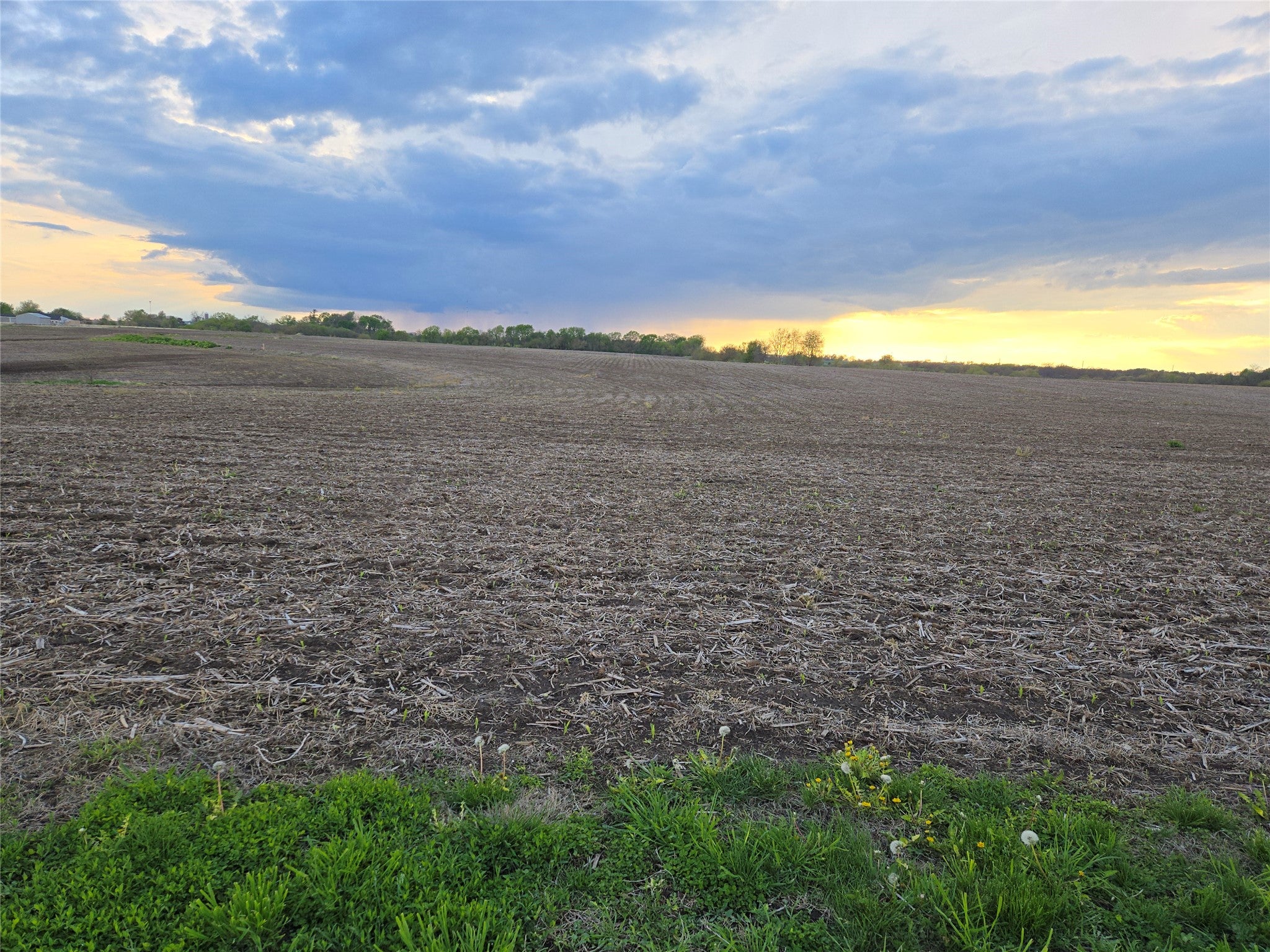 TBD Hempstead Street - Photo 3