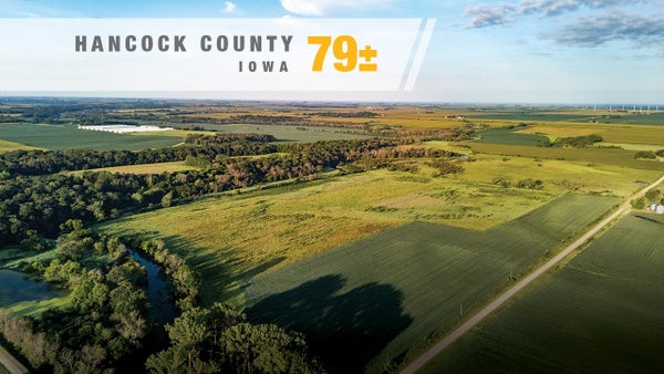 125TH ST, GOODELL, IA 50439 - Image d64b4d290a2b42dd85df257a04145b25/1073589977