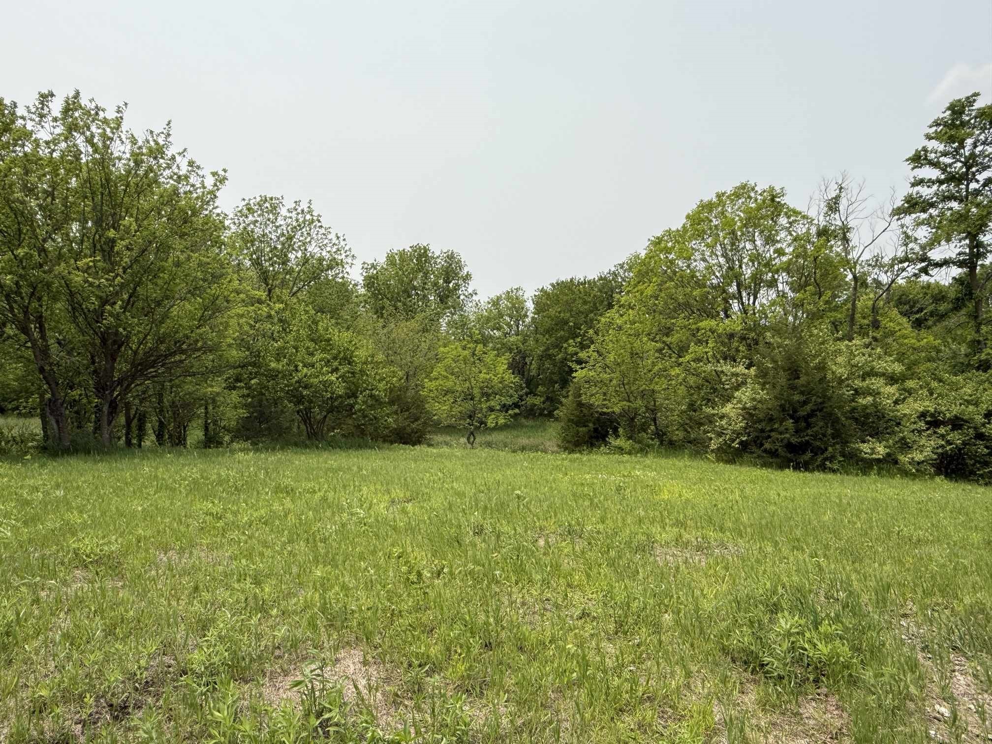 12210 N 59th Avenue, Mingo, Iowa image 2