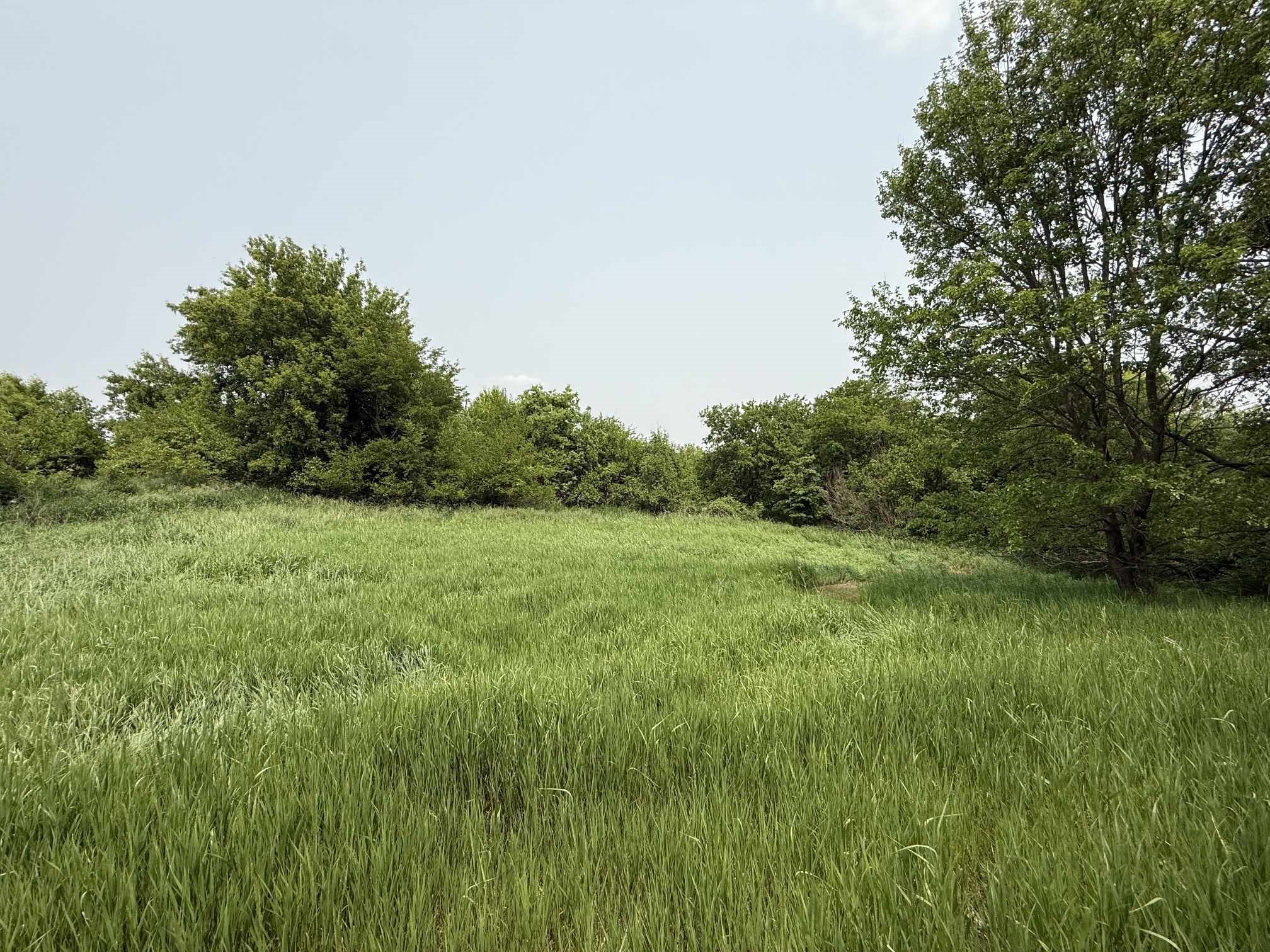 12210 N 59th Avenue, Mingo, Iowa image 9