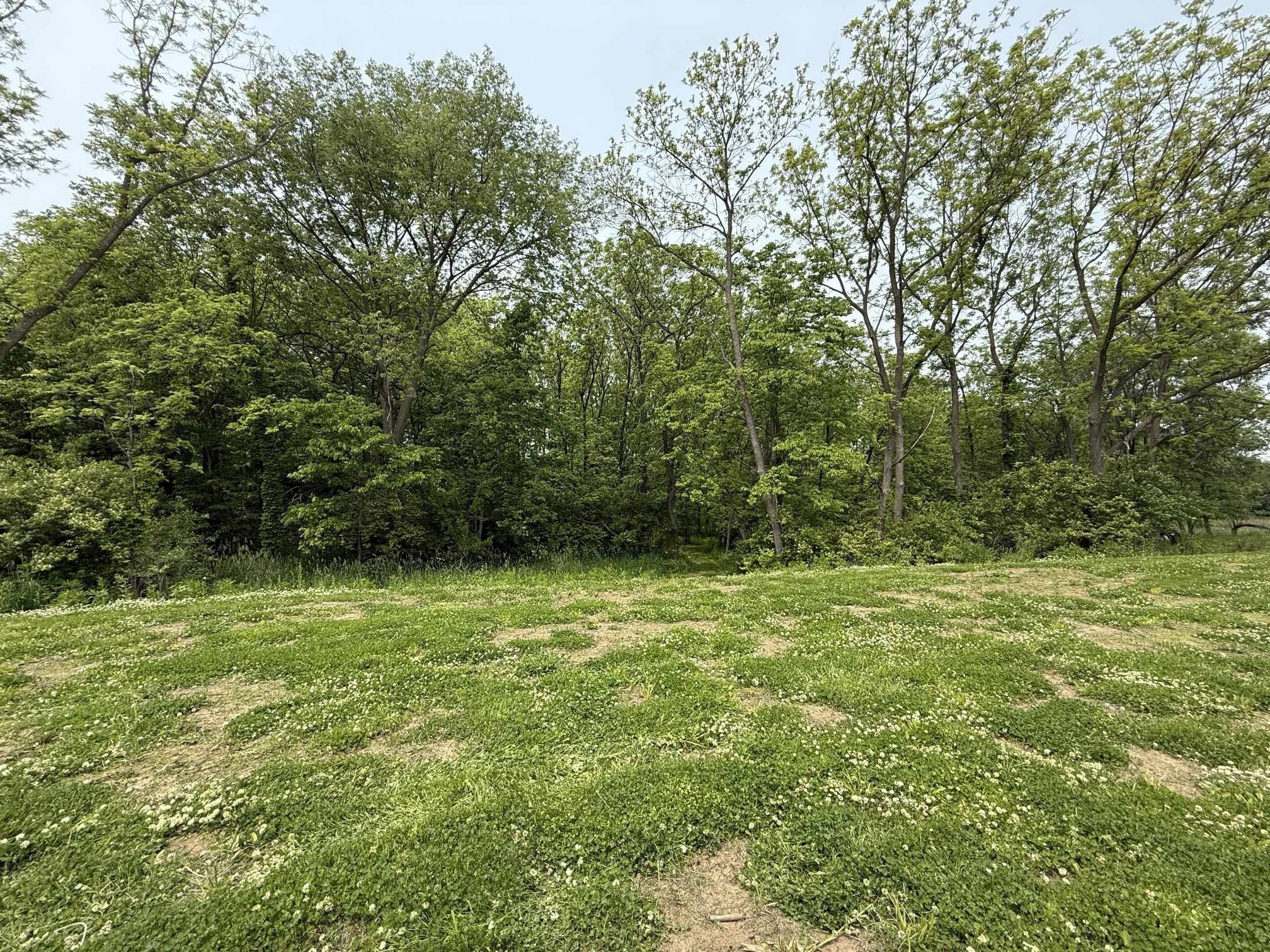 12210 N 59th Avenue, Mingo, Iowa image 4