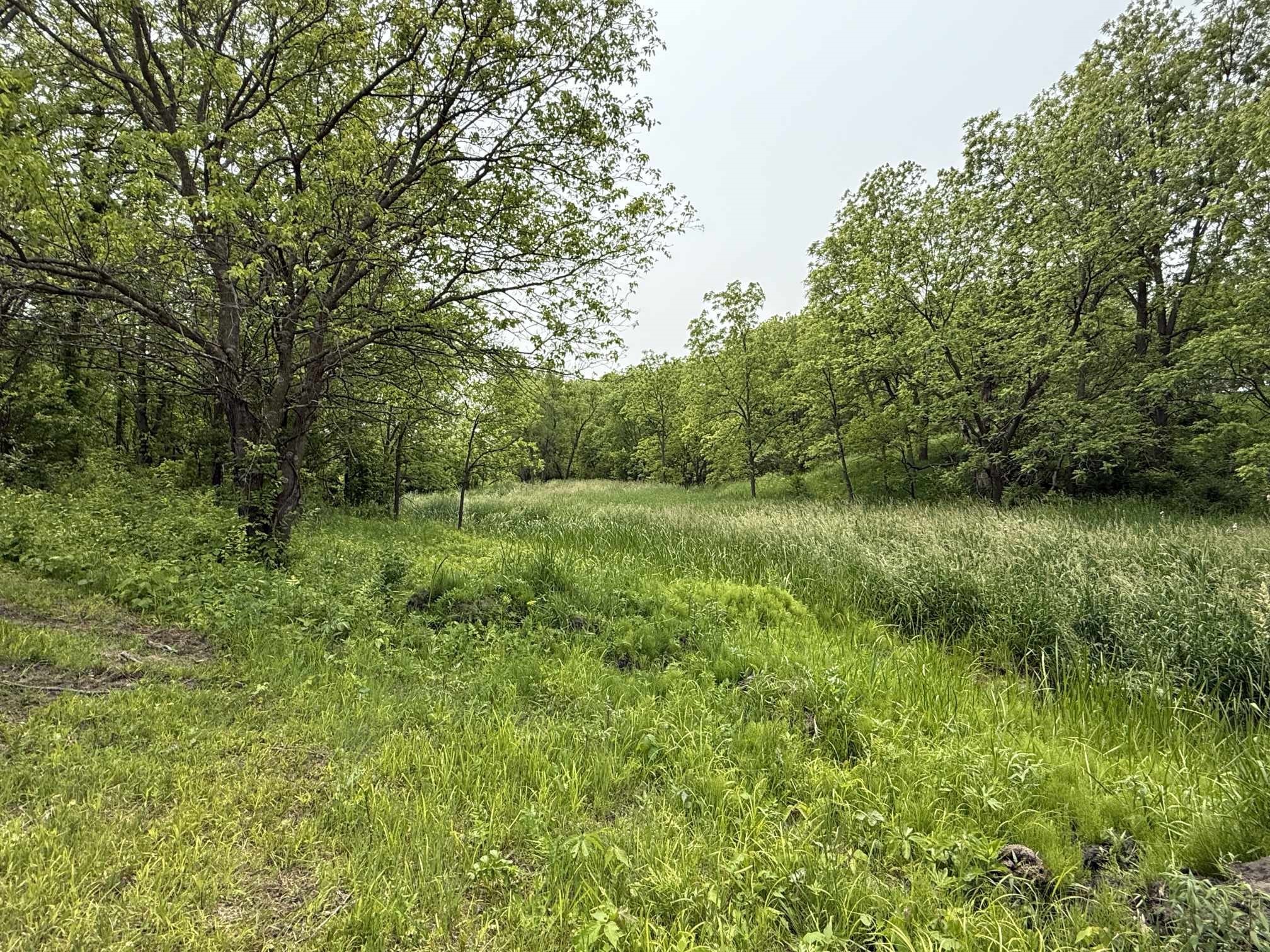 12210 N 59th Avenue, Mingo, Iowa image 12