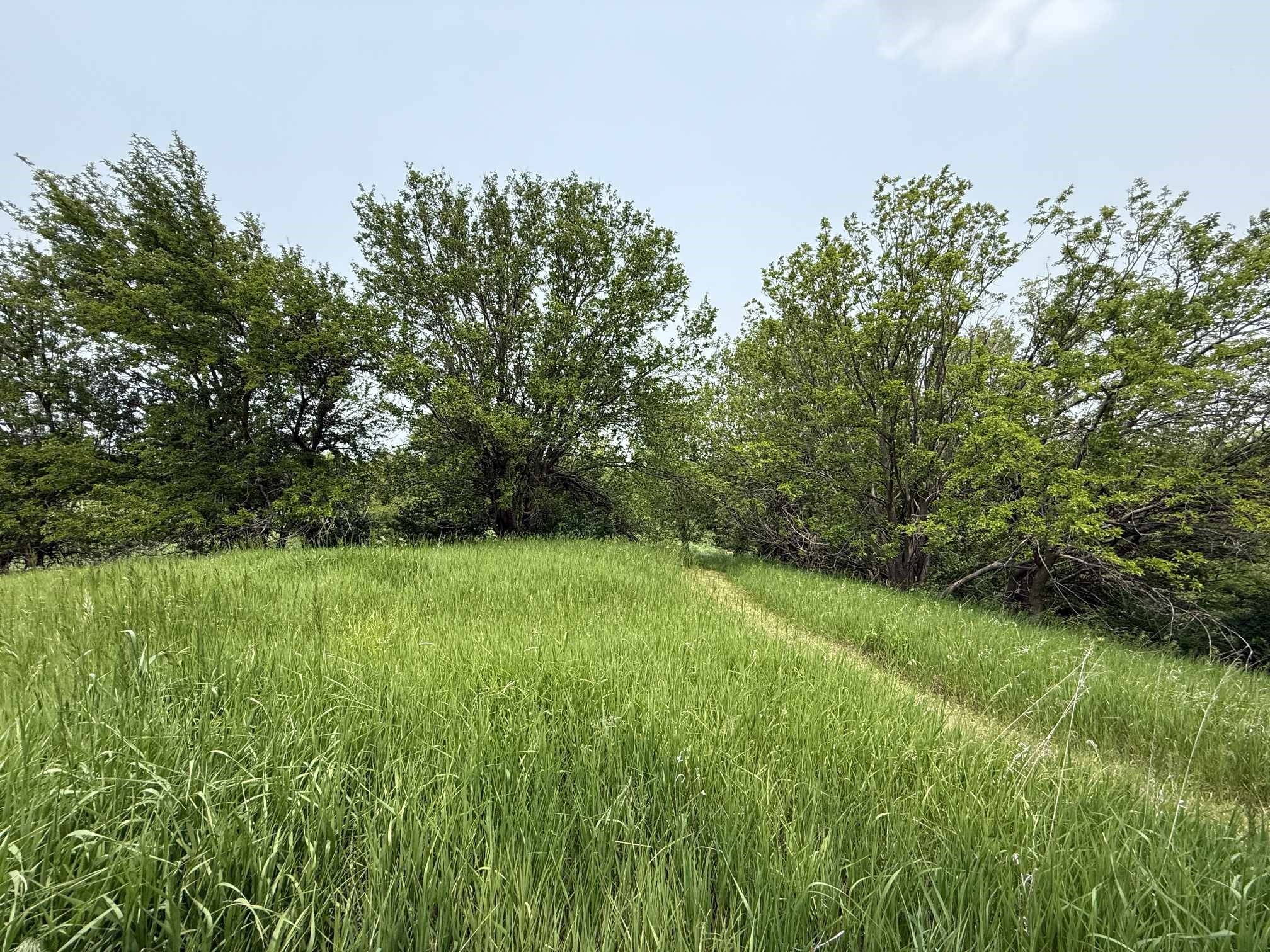 12210 N 59th Avenue, Mingo, Iowa image 1