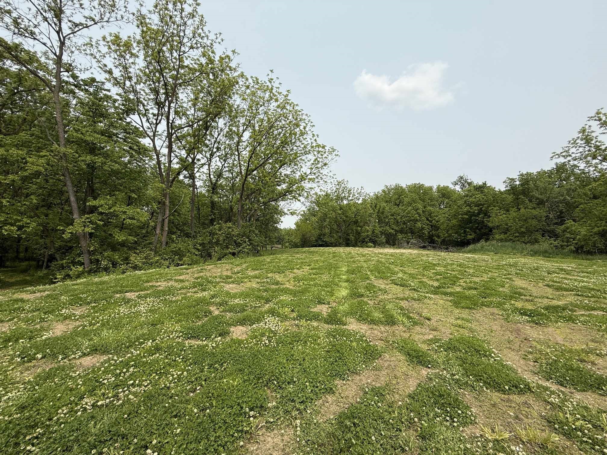 12210 N 59th Avenue, Mingo, Iowa image 6