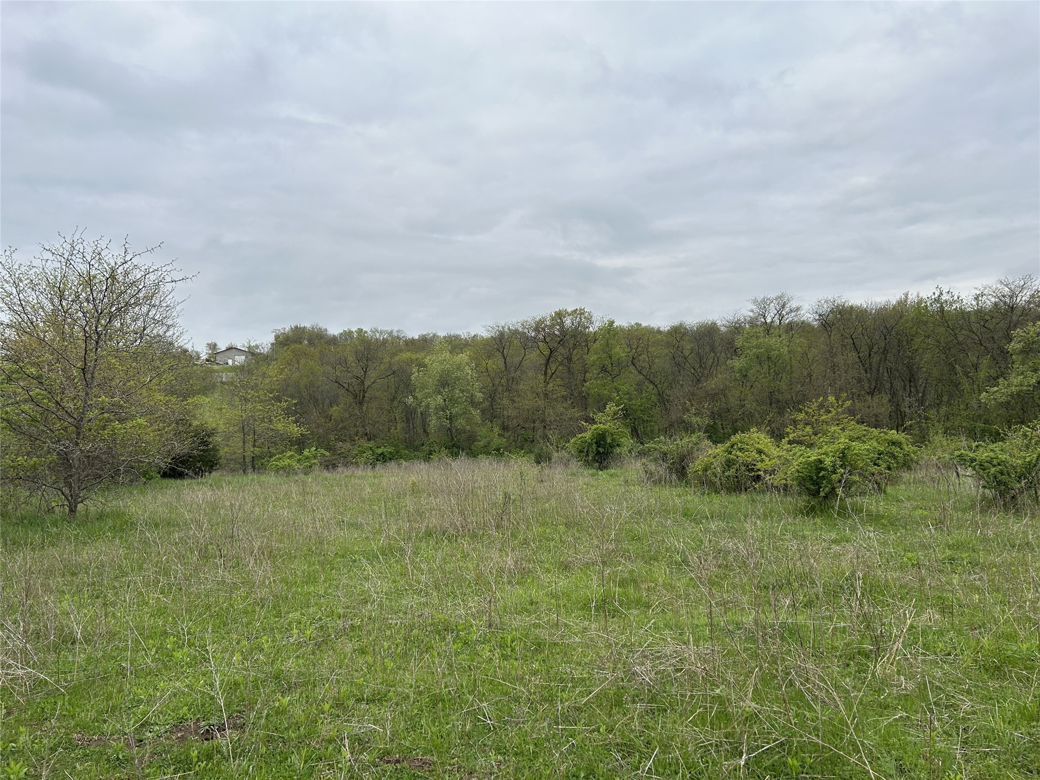 00 168th Street, Albia, Iowa image 14