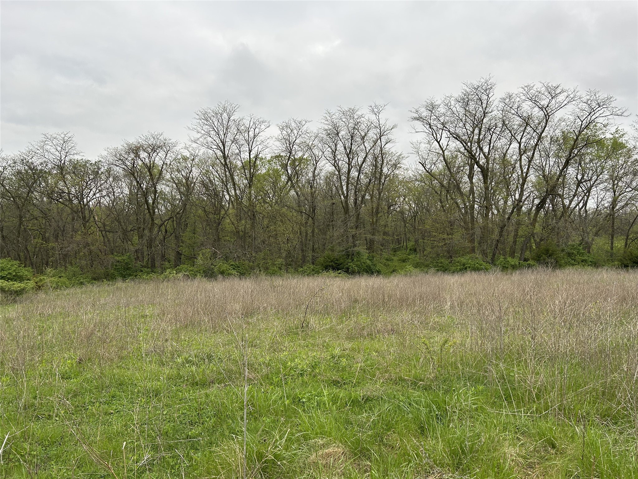00 168th Street, Albia, Iowa image 13