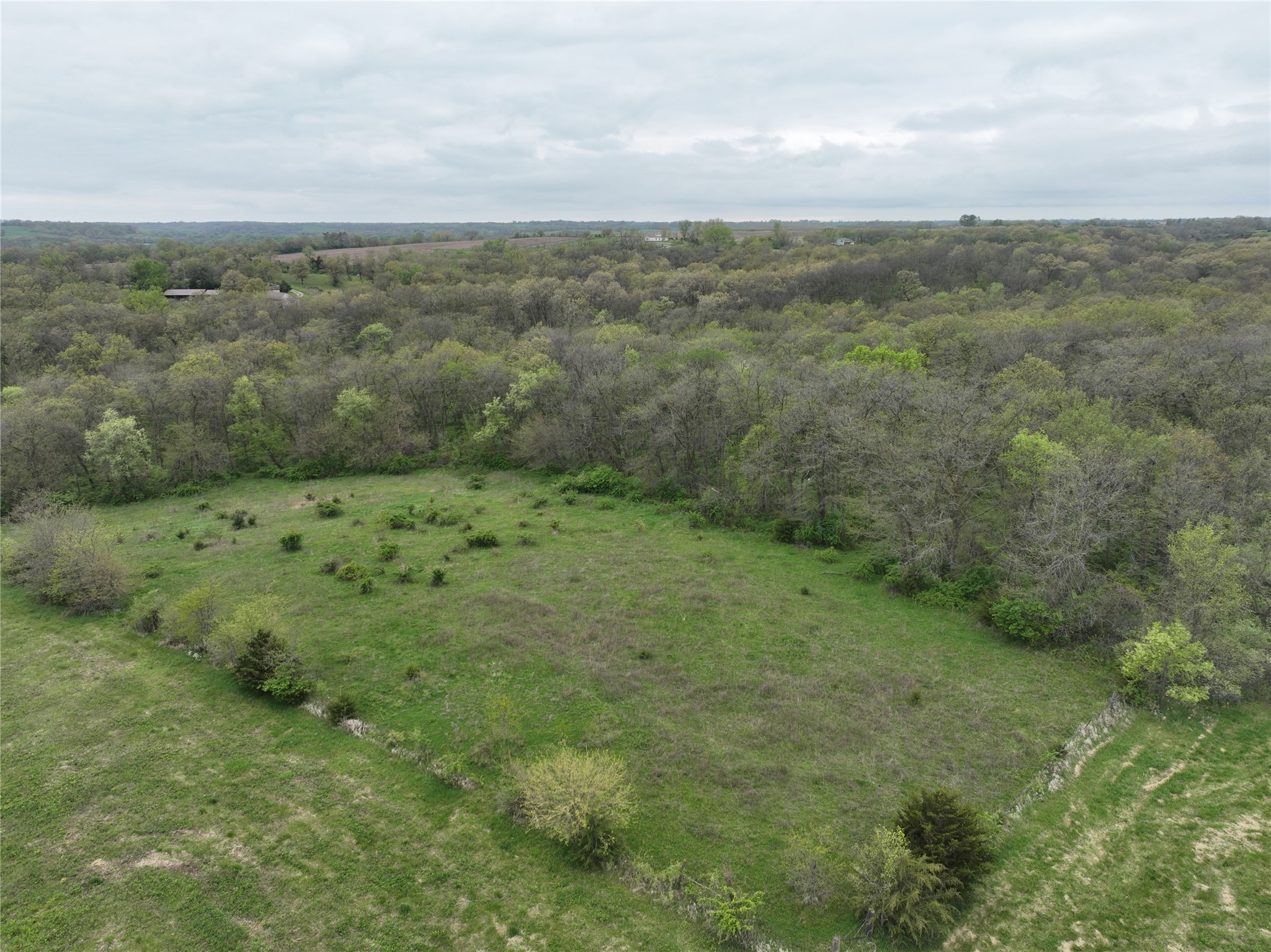 00 168th Street, Albia, Iowa image 3