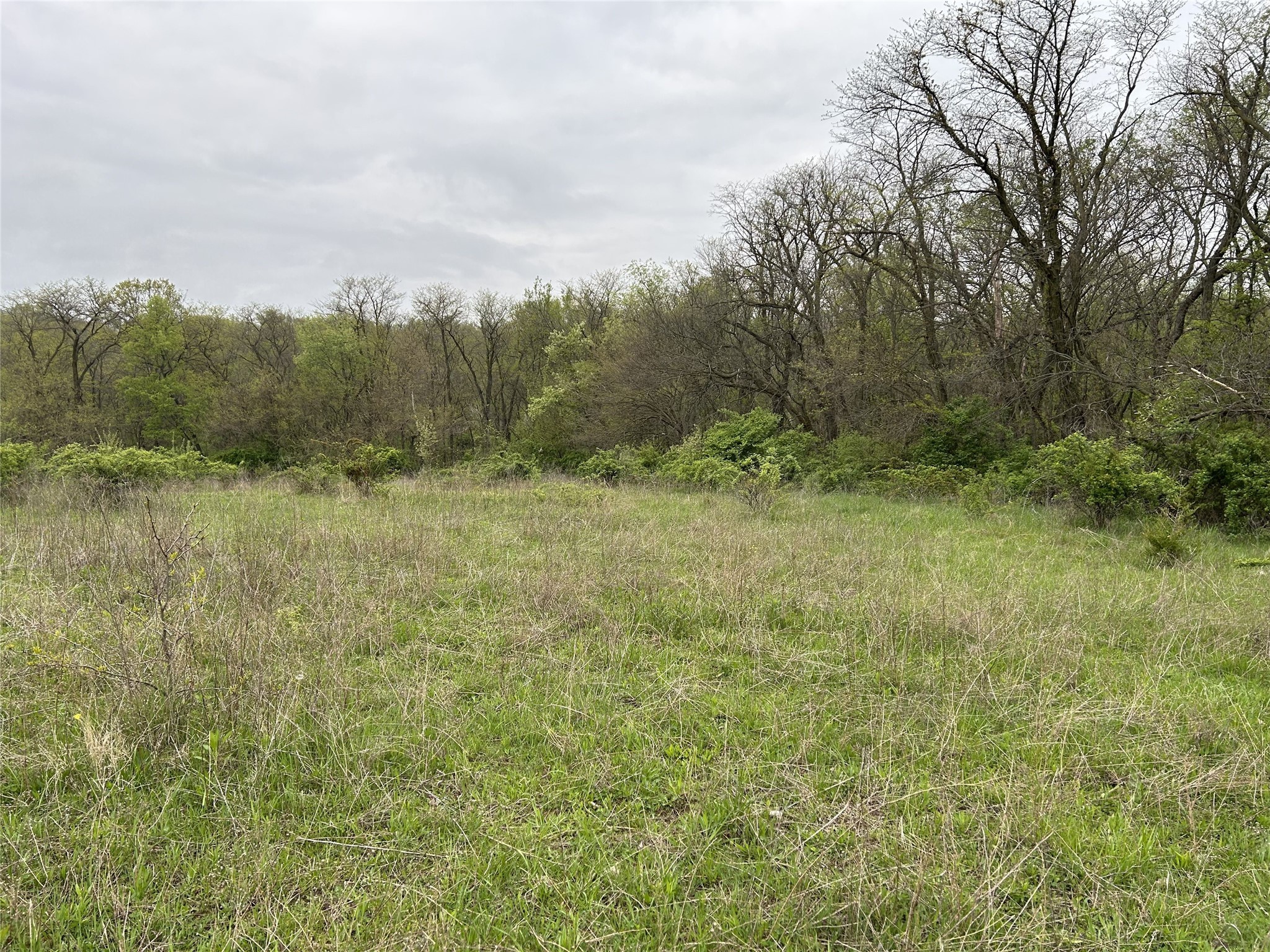 00 168th Street, Albia, Iowa image 12
