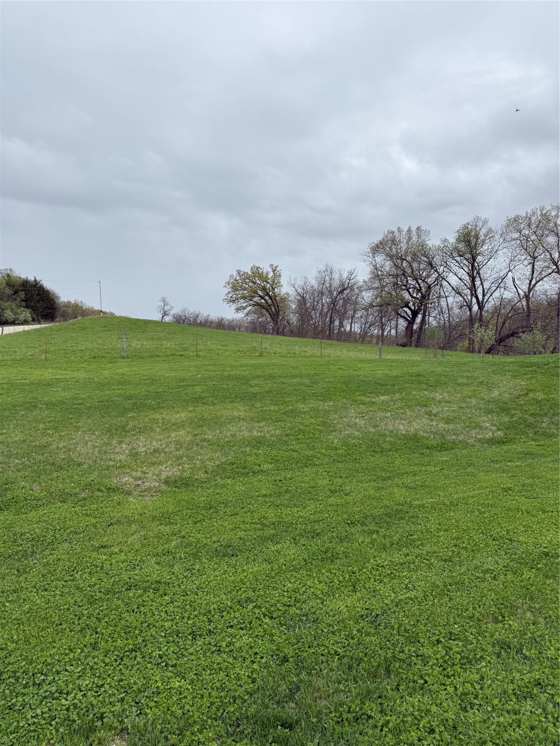 3175 Pheasant Run Trail, Peru, Iowa image 16