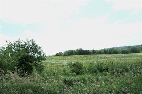 Vacant Land For Sale - 0000 330th Street<br/> Macksburg, IA 50155