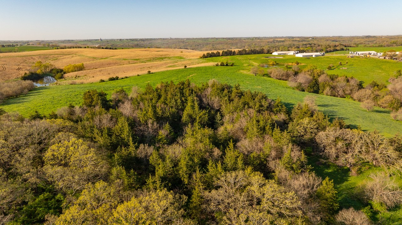 1598 Pheasant Avenue, Afton, Iowa image 12