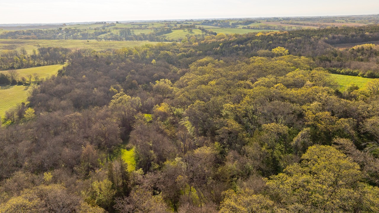 1598 Pheasant Avenue, Afton, Iowa image 13