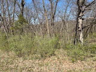 6504 Jansen Cove, Panora, Iowa image 2