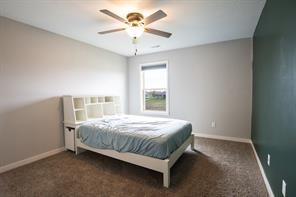 2430 SE Willowbrook Drive, Waukee, Iowa image 27