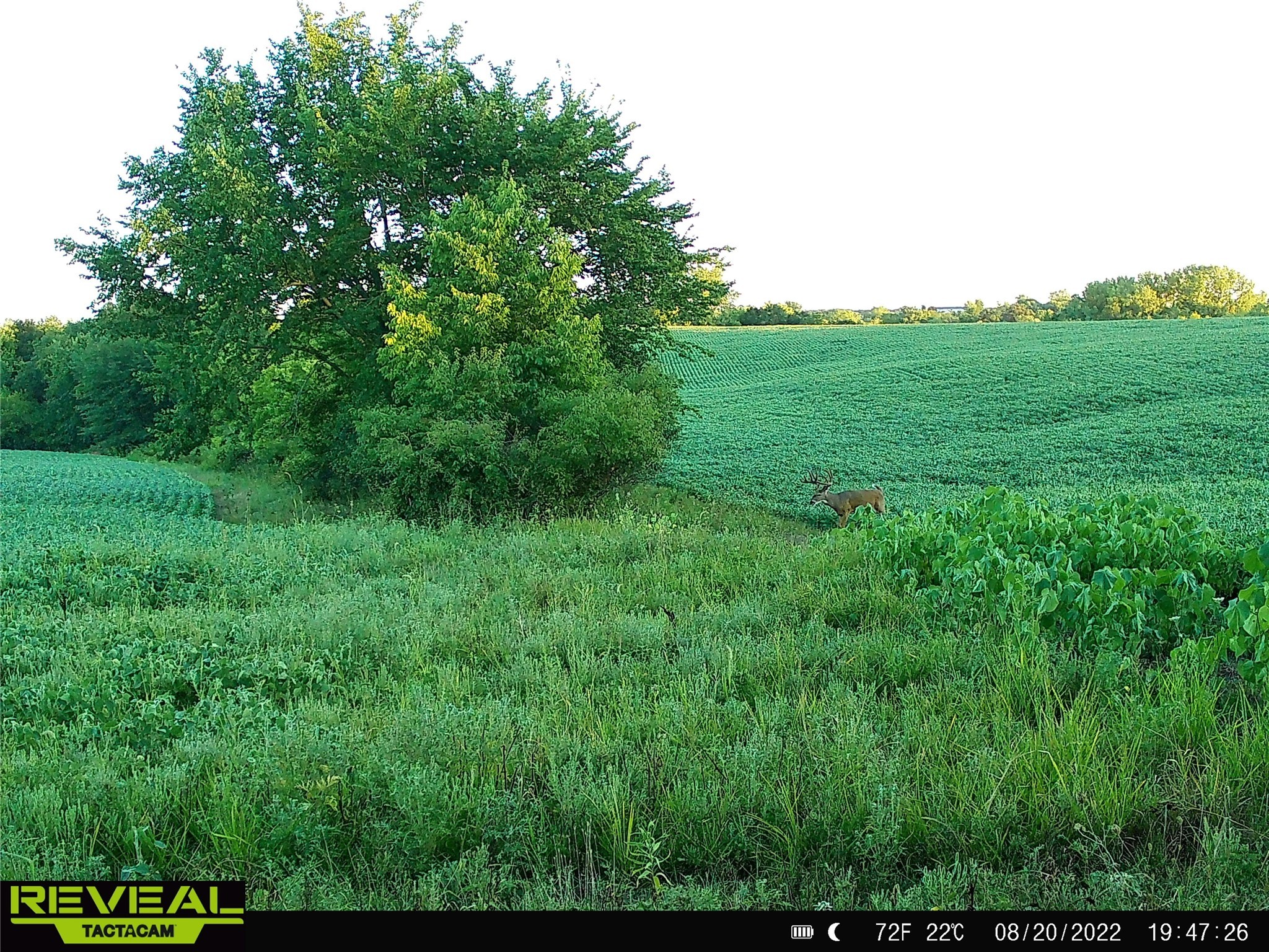 000 300th Avenue, Leon, Iowa image 7