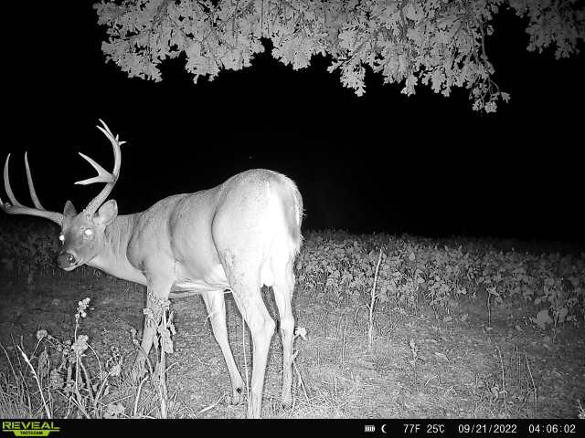 000 300th Avenue, Leon, Iowa image 3