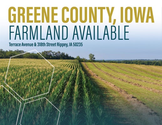 TERRACE AVE, RIPPEY, IA 50235 - Image ddd650c9d77f5a962dd07c6ecf59bbf3/1440880095