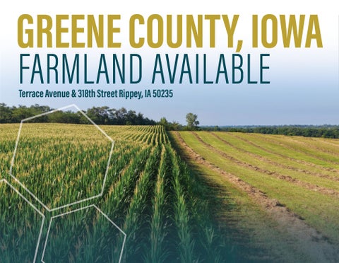 Vacant Land For Sale - Terrace Avenue<br/> Rippey, IA 50235