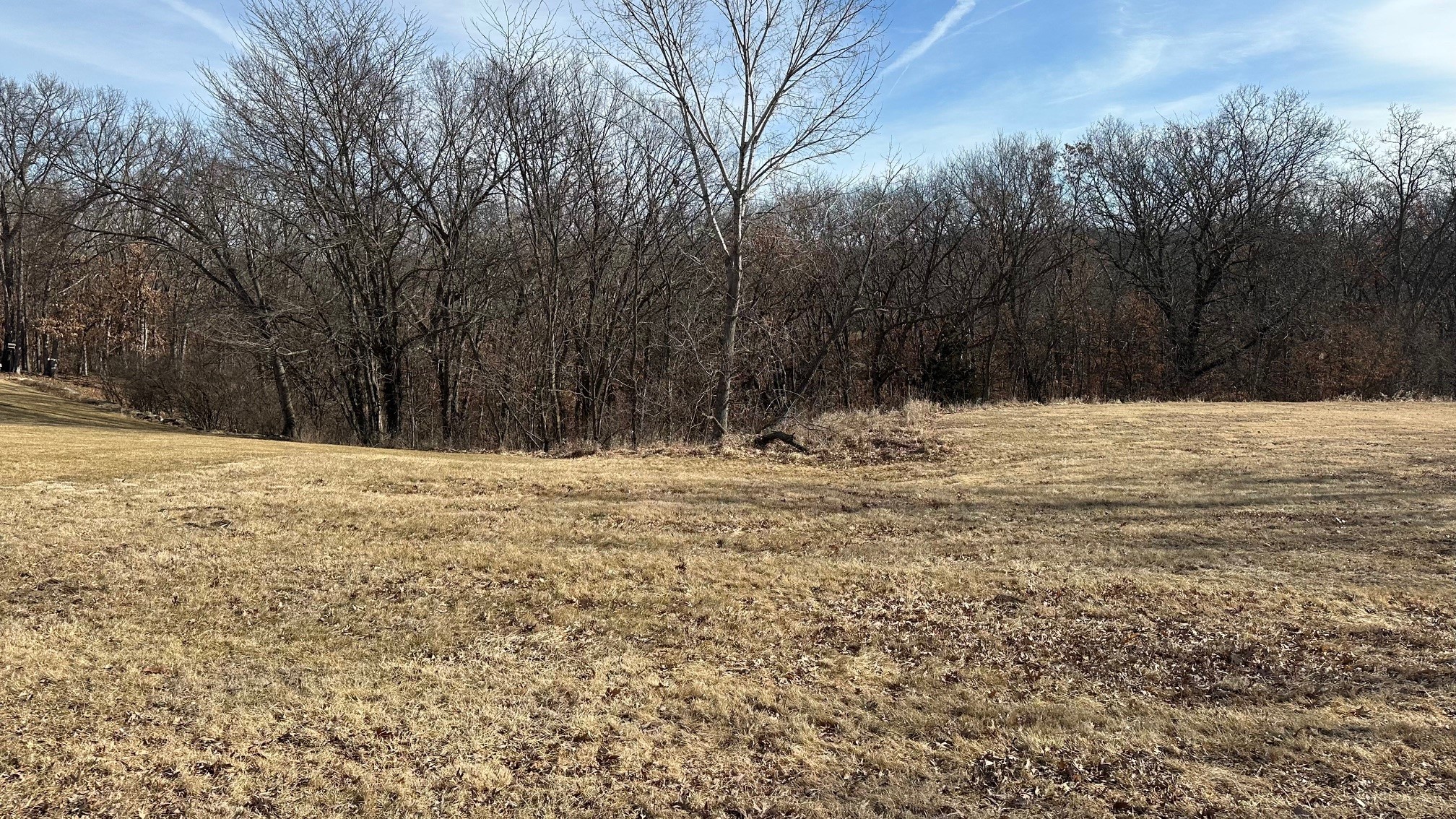 Lot 17 Mill Creek Drive, Adel, Iowa image 12