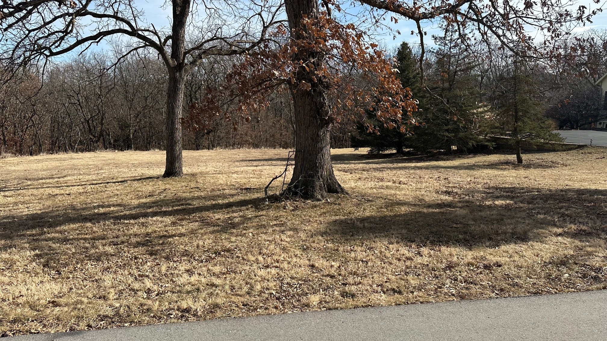 Lot 17 Mill Creek Drive, Adel, Iowa image 14