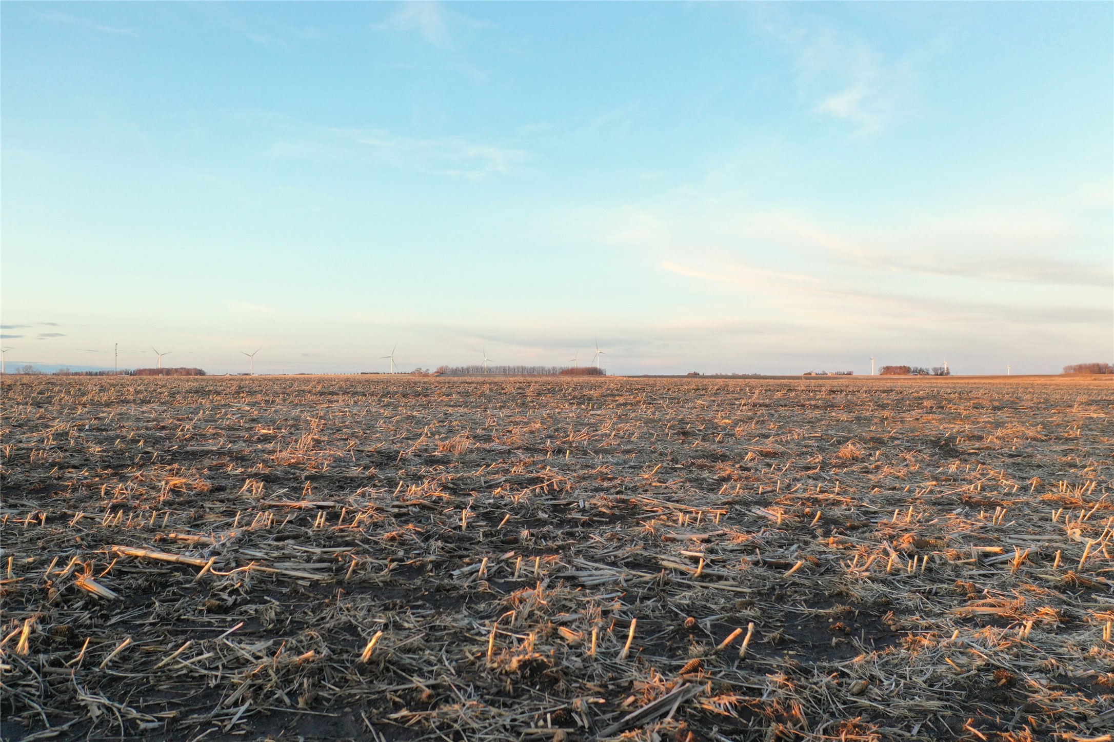 00 130th Street, New Hampton, Iowa image 6