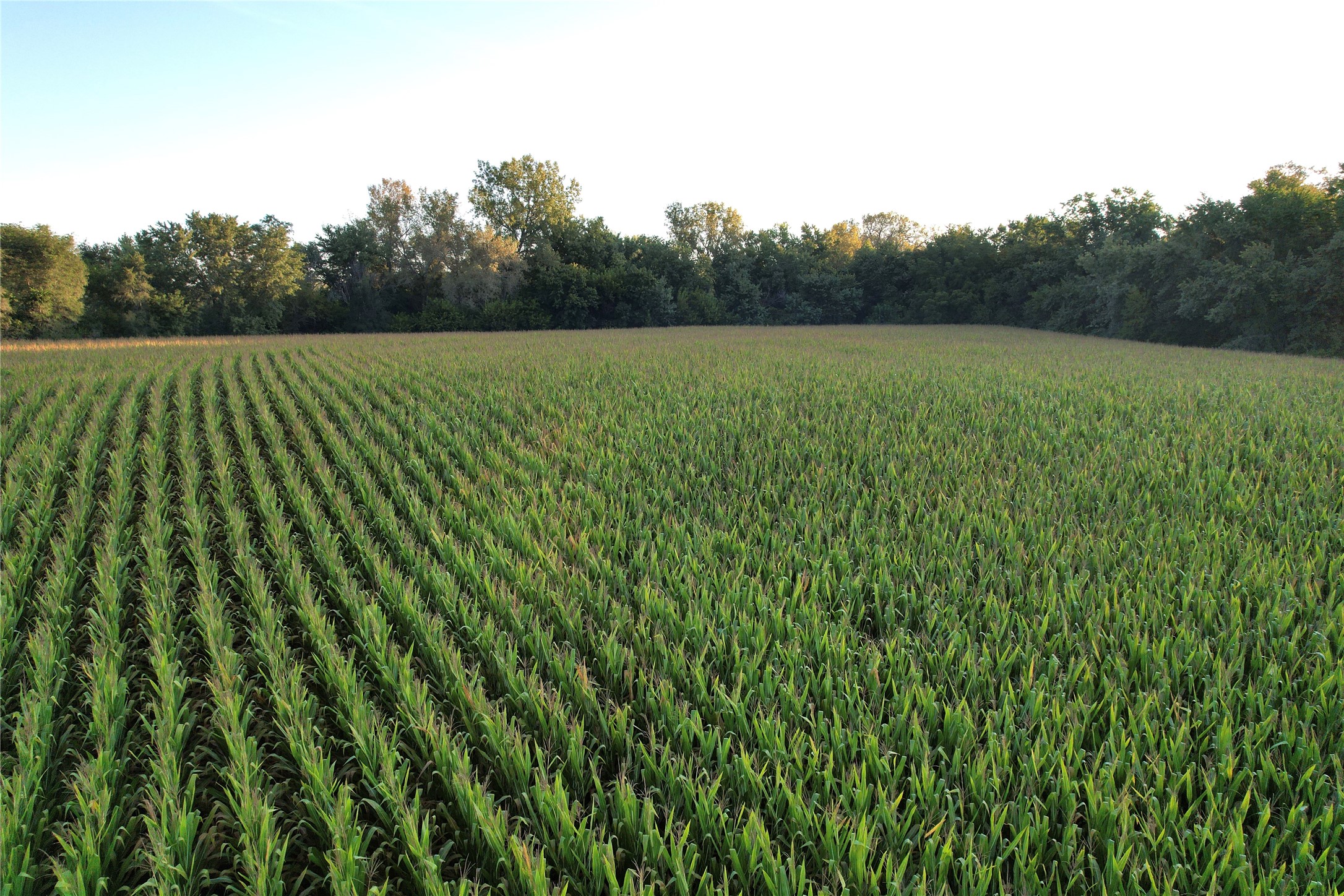 11397 30th Avenue, Prole, Iowa image 7