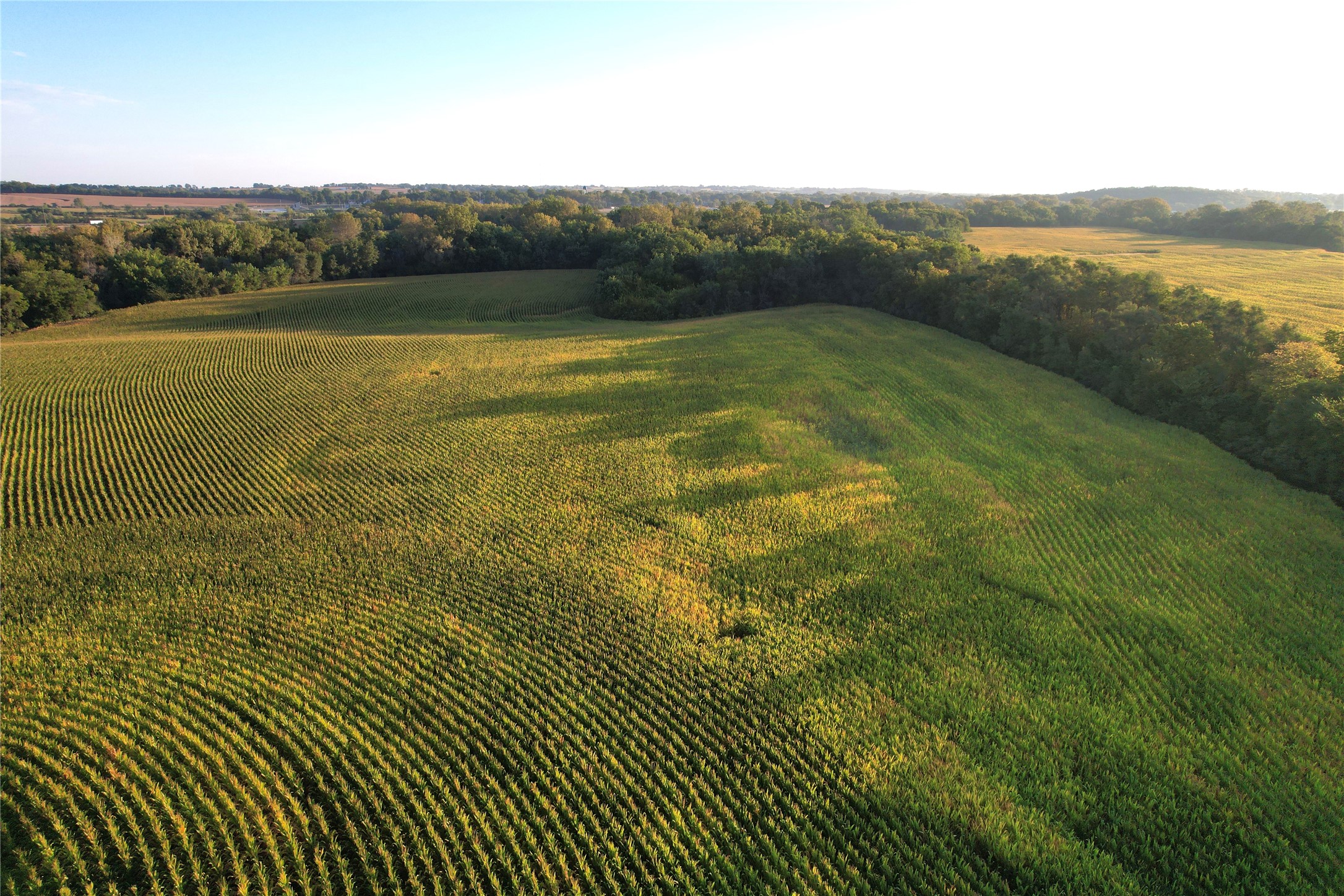 11397 30th Avenue, Prole, Iowa image 13