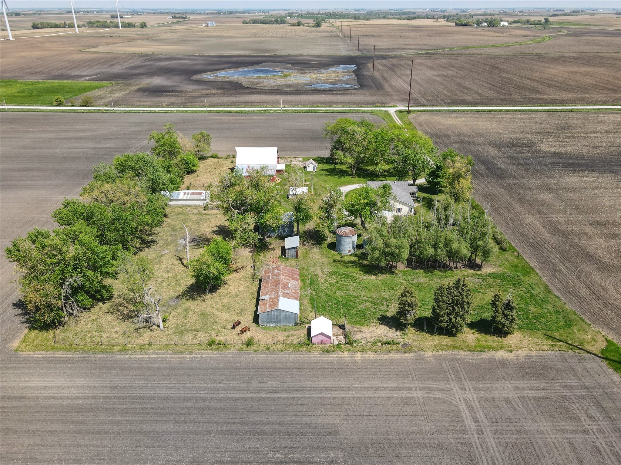 18493 730th Avenue, Colo, Iowa image 35