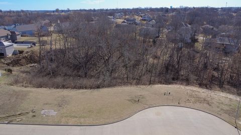 Vacant Land For Sale - 1409 Deer Run Drive<br/> Marion County, Knoxville, IA 50138