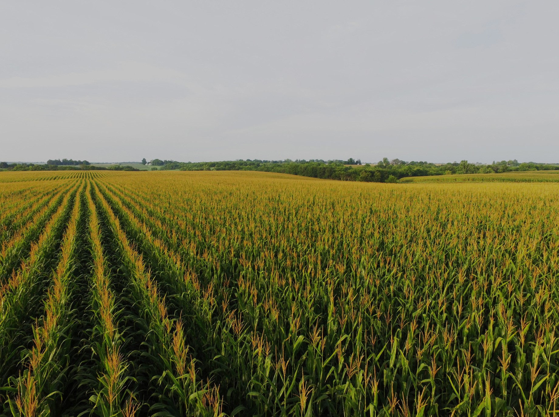 000 14 Highway, Knoxville, Iowa image 9