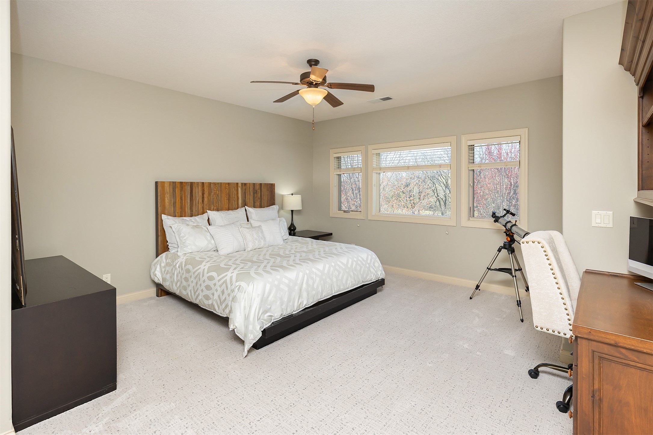 360 Painted Woods Drive, Waukee, Iowa image 18
