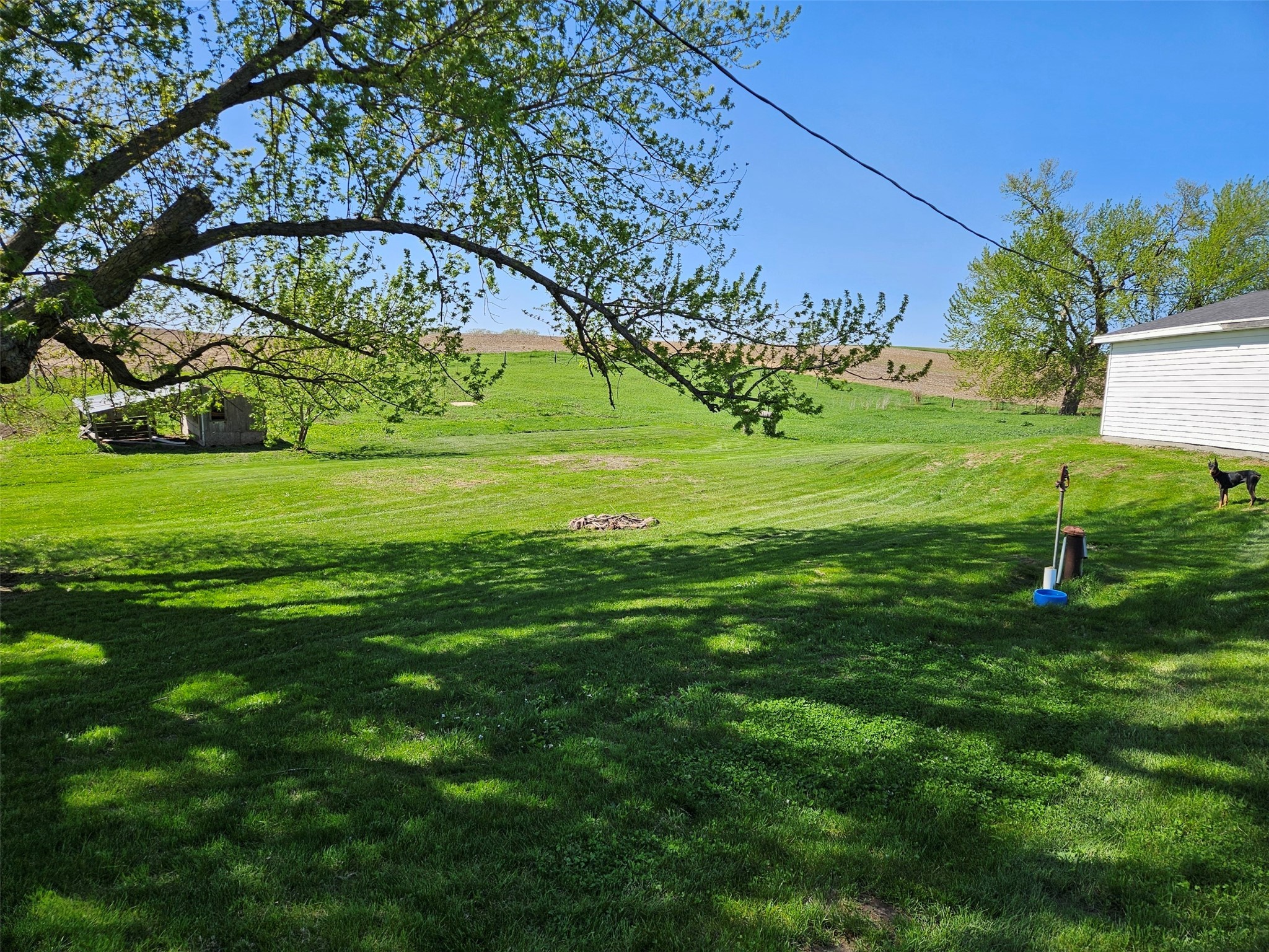 2629 Pecan Avenue, Guthrie Center, Iowa image 2