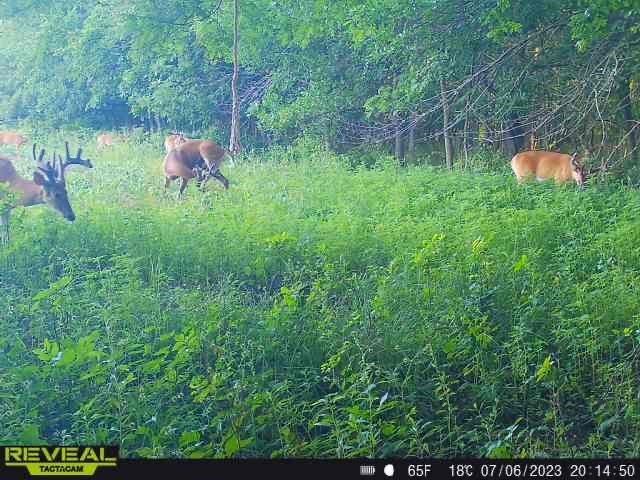 00 Big Bear Road, Stratford, Iowa image 11