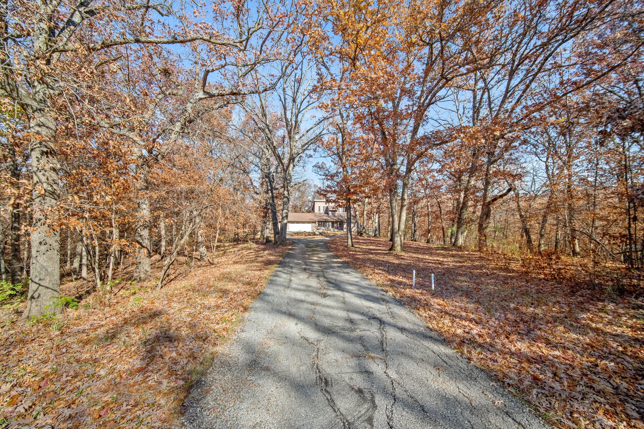 6513 Oak Tree Cove, Panora, Iowa image 34