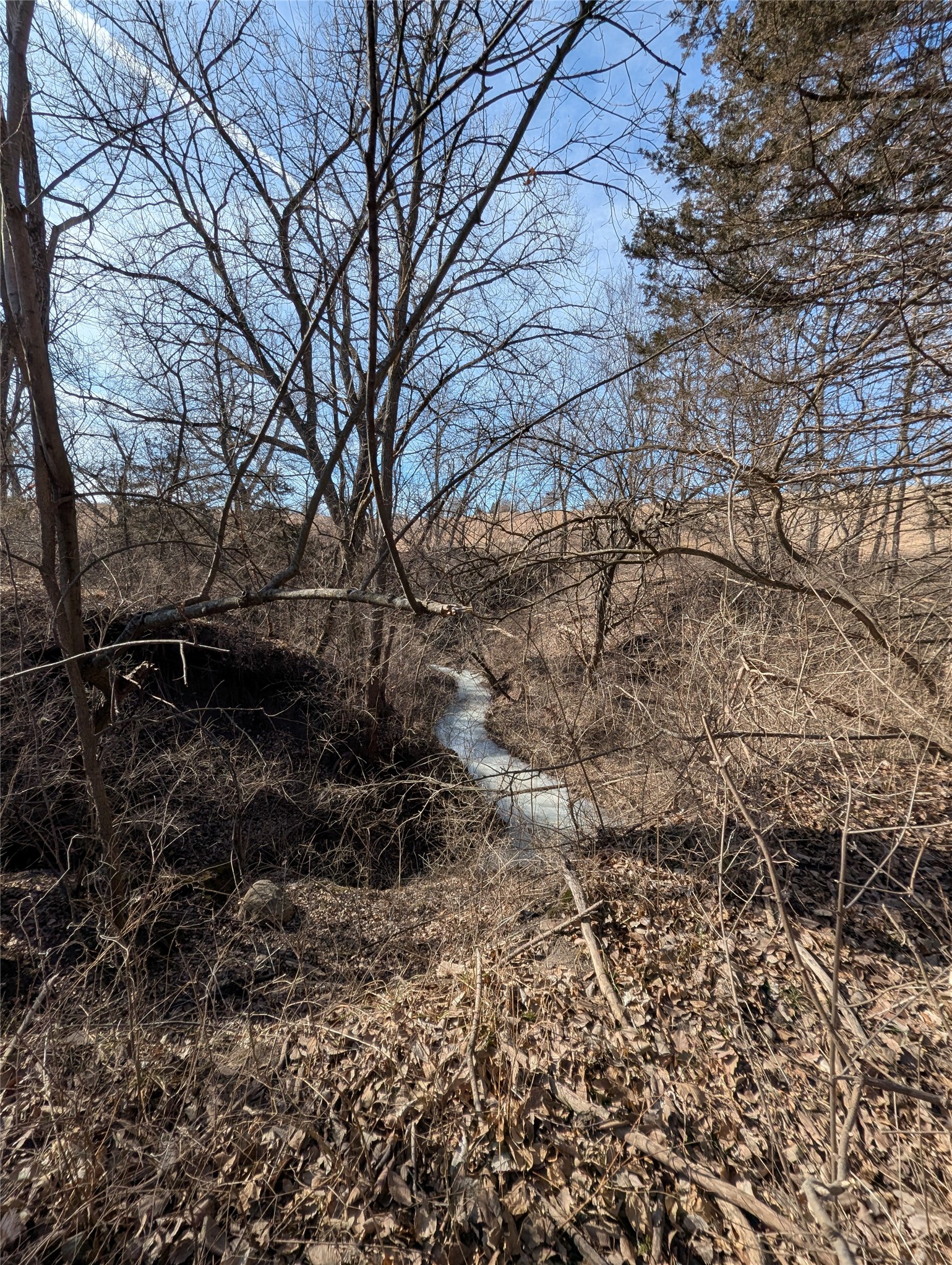 9203 Van Buren Street