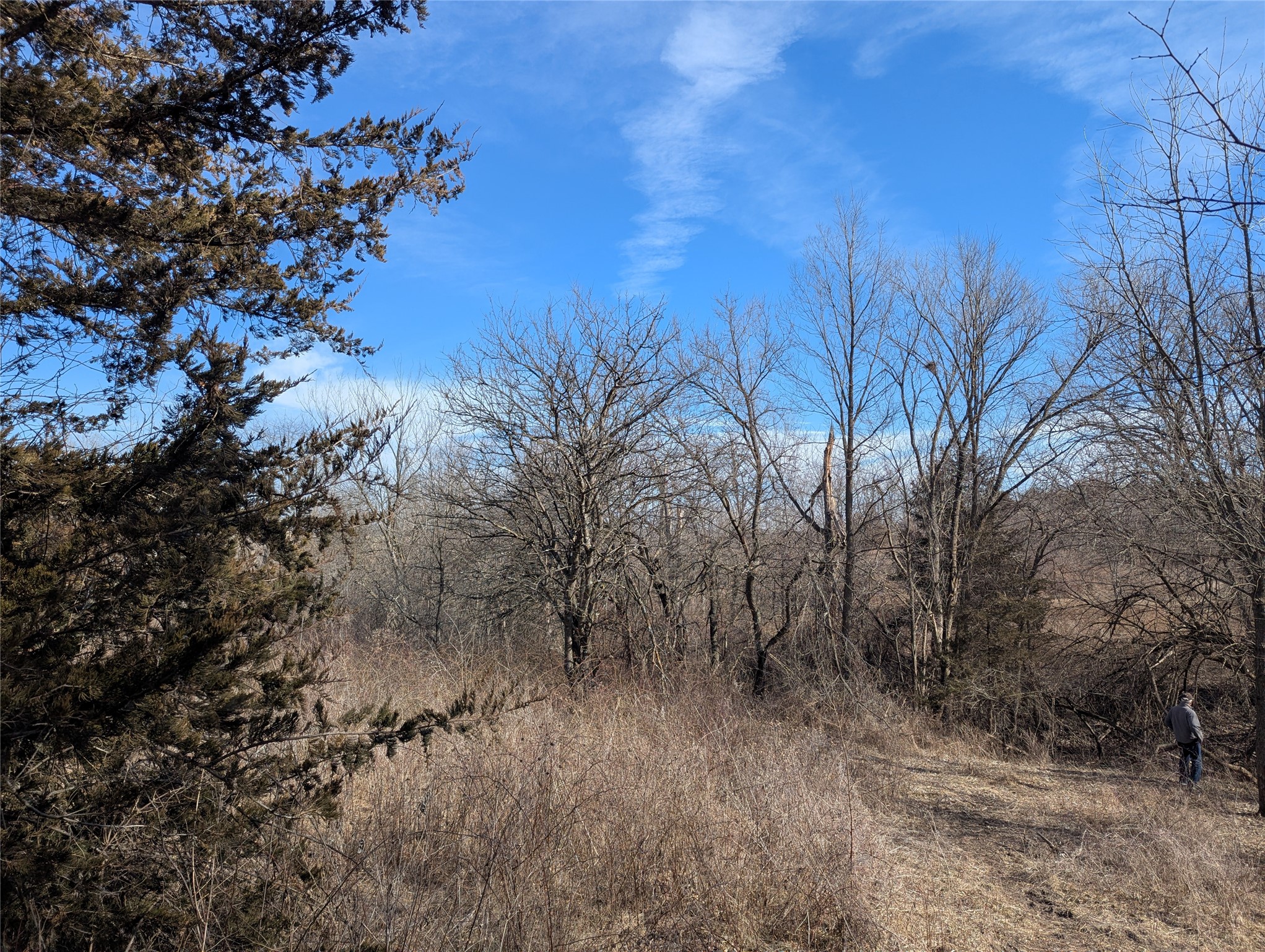 9203 Van Buren Street