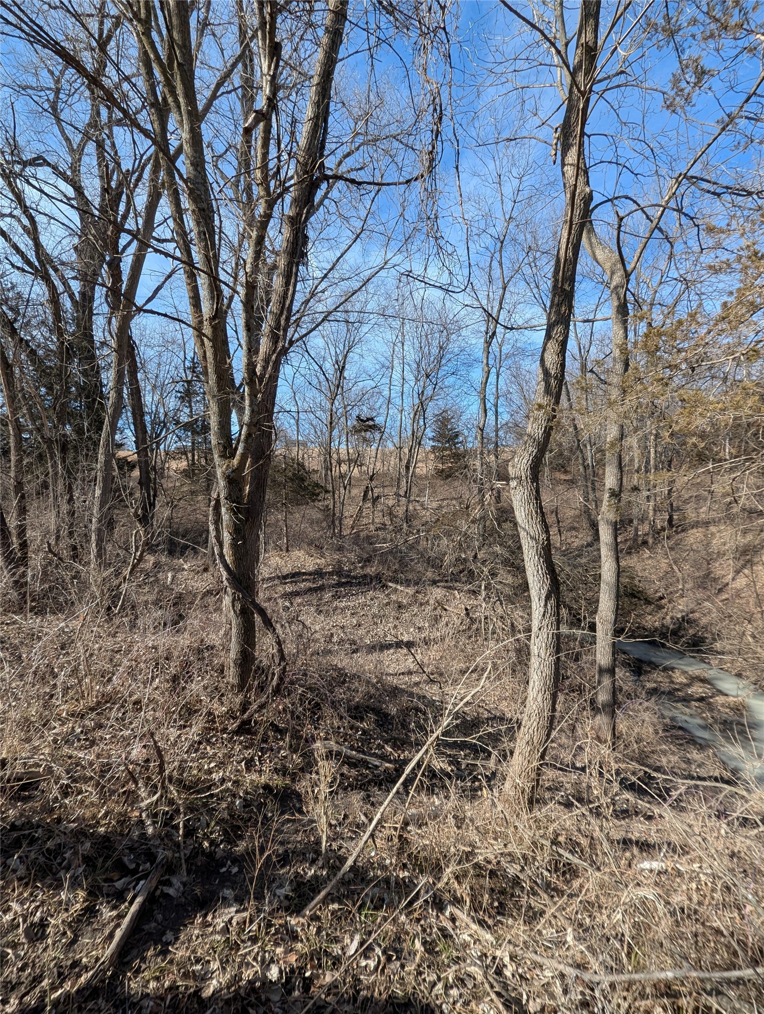 9203 Van Buren Street