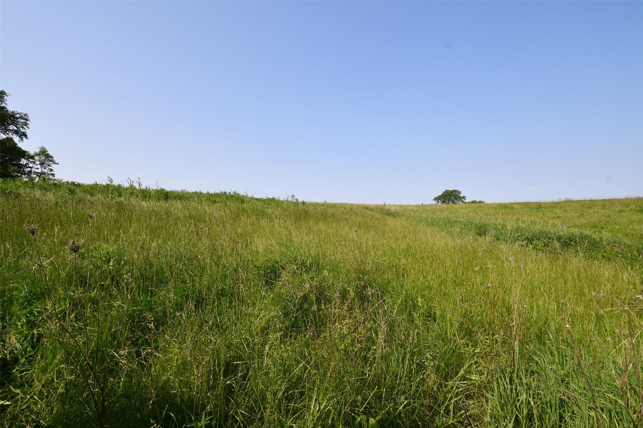 01 S23 Highway, Carlisle, Iowa image 4