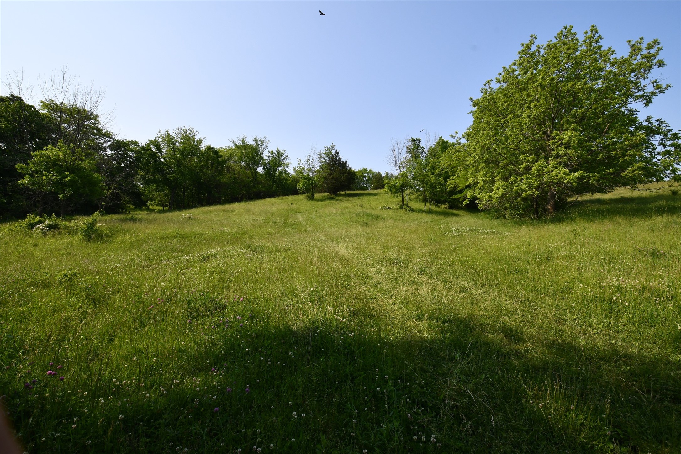 01 S23 Highway, Carlisle, Iowa image 10