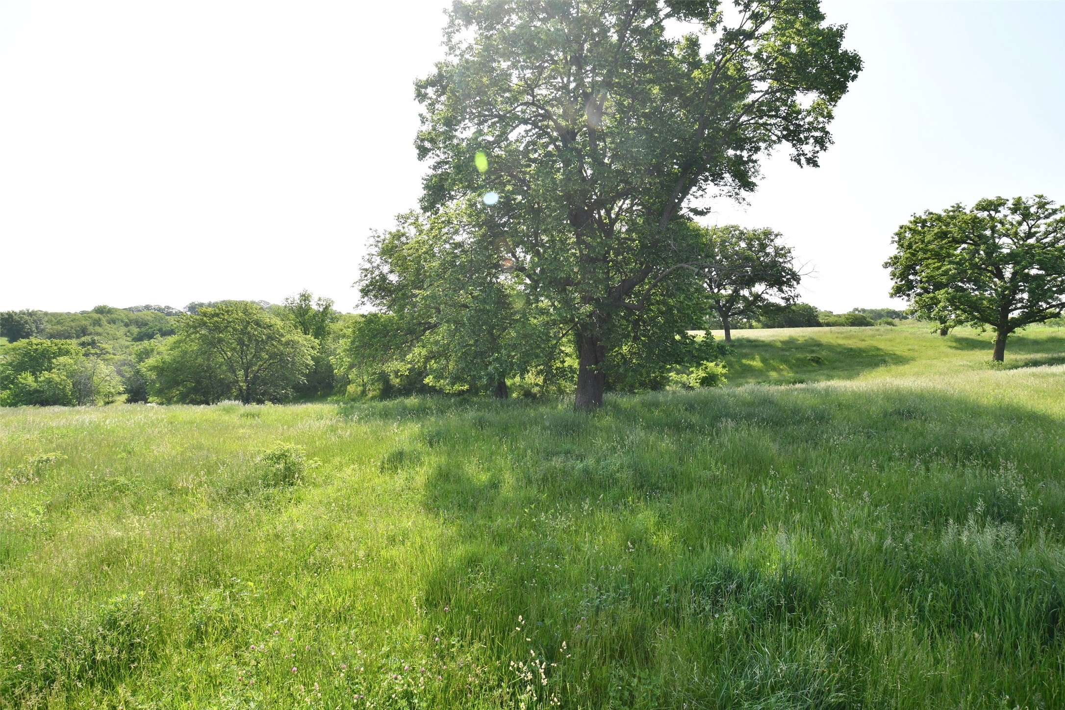 01 S23 Highway, Carlisle, Iowa image 8