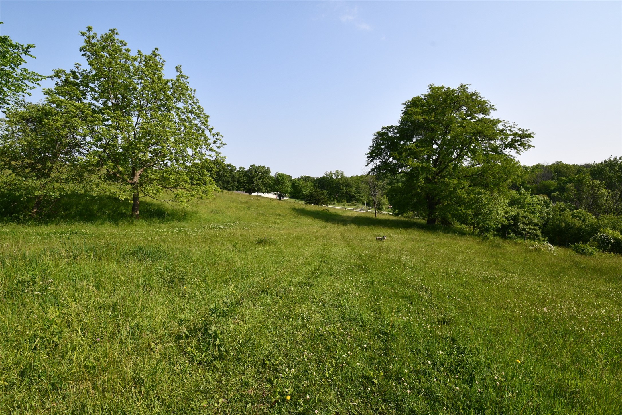 01 S23 Highway, Carlisle, Iowa image 9