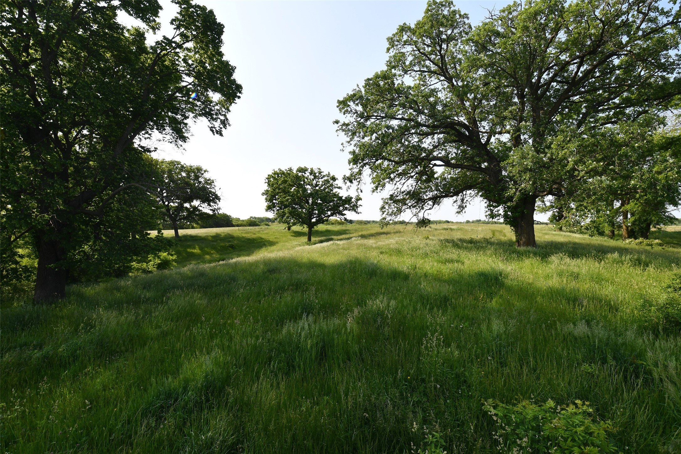 01 S23 Highway, Carlisle, Iowa image 6