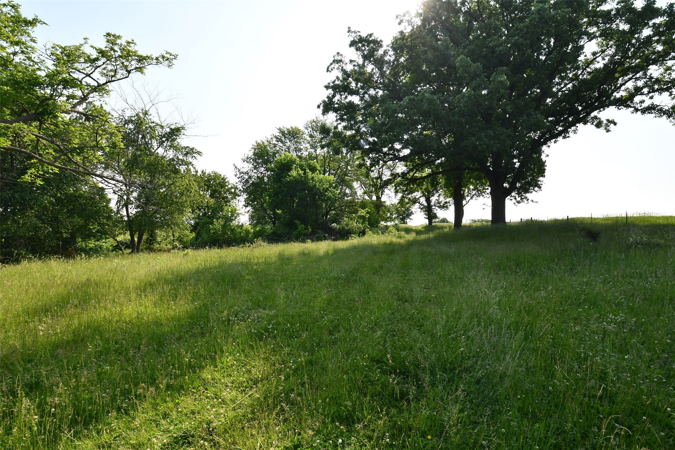 01 S23 Highway, Carlisle, Iowa image 7