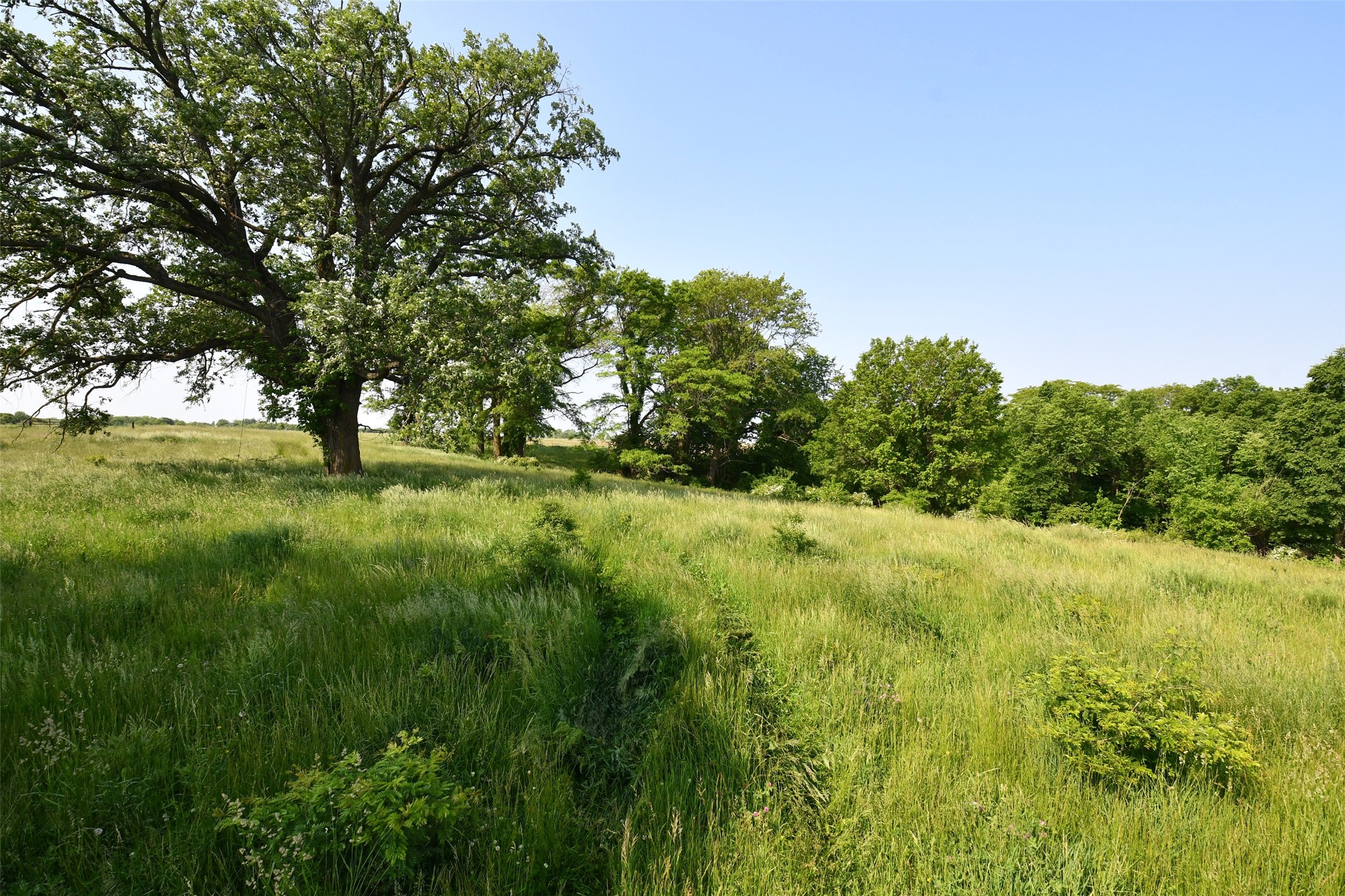 01 S23 Highway, Carlisle, Iowa image 5