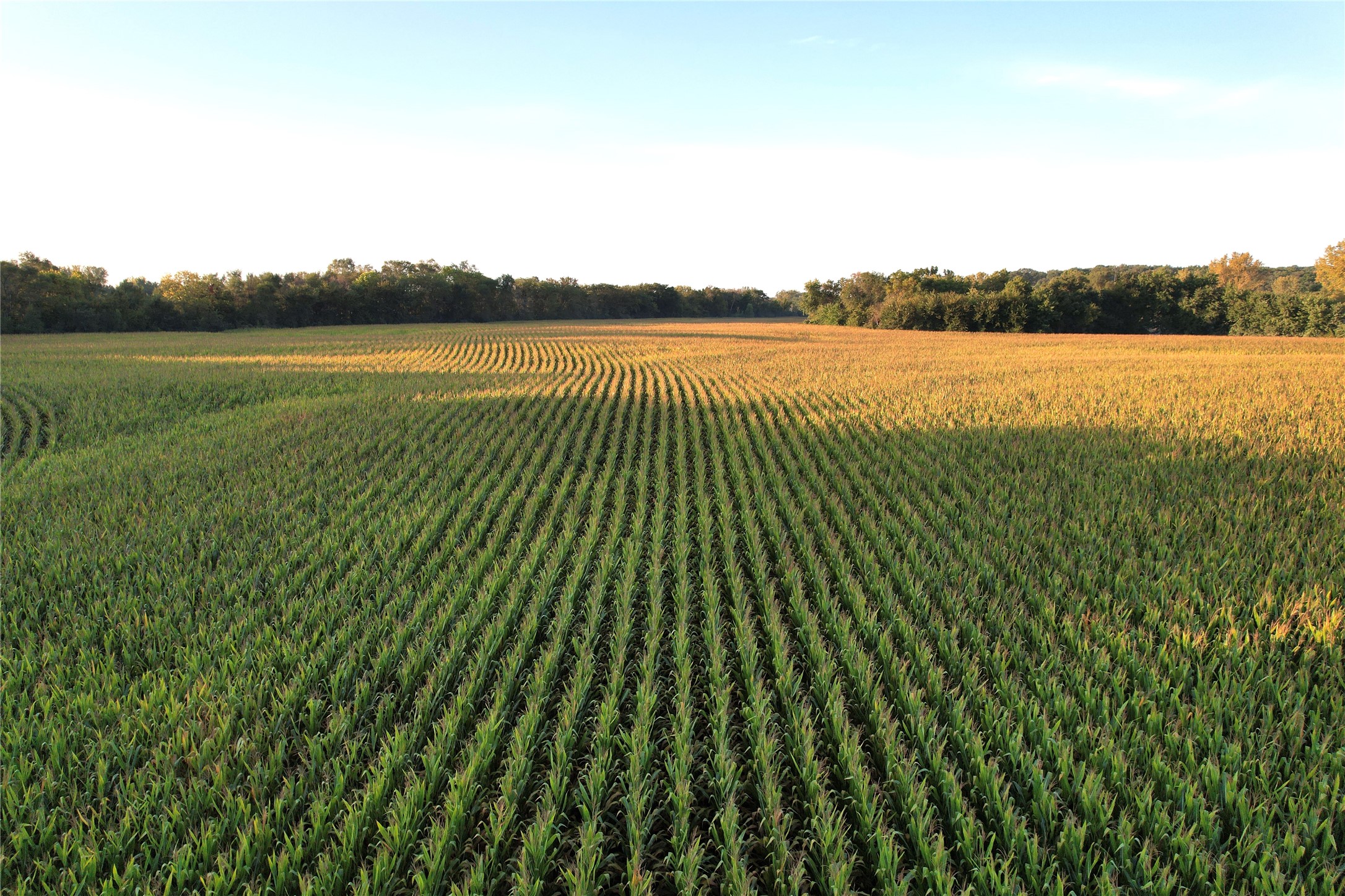 02 30th Avenue, Prole, Iowa image 6