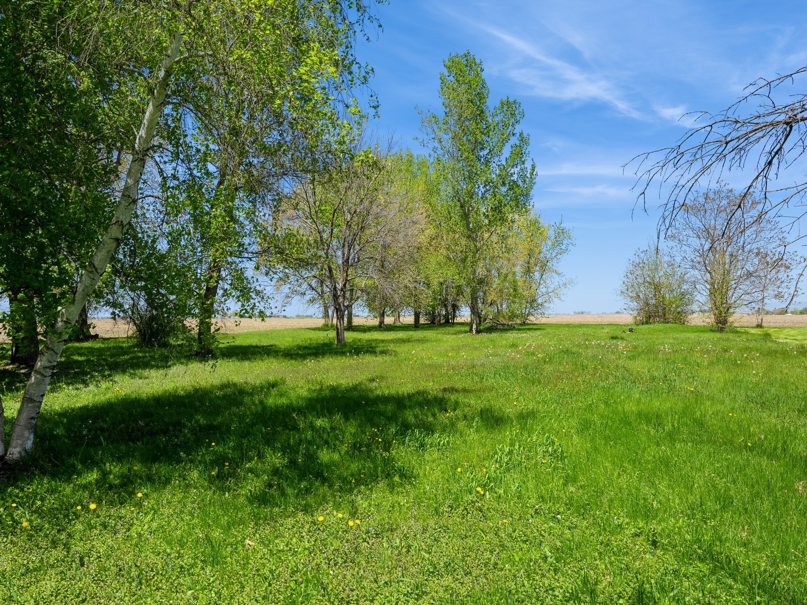 7204 Railroad Street, Killduff, Iowa image 24